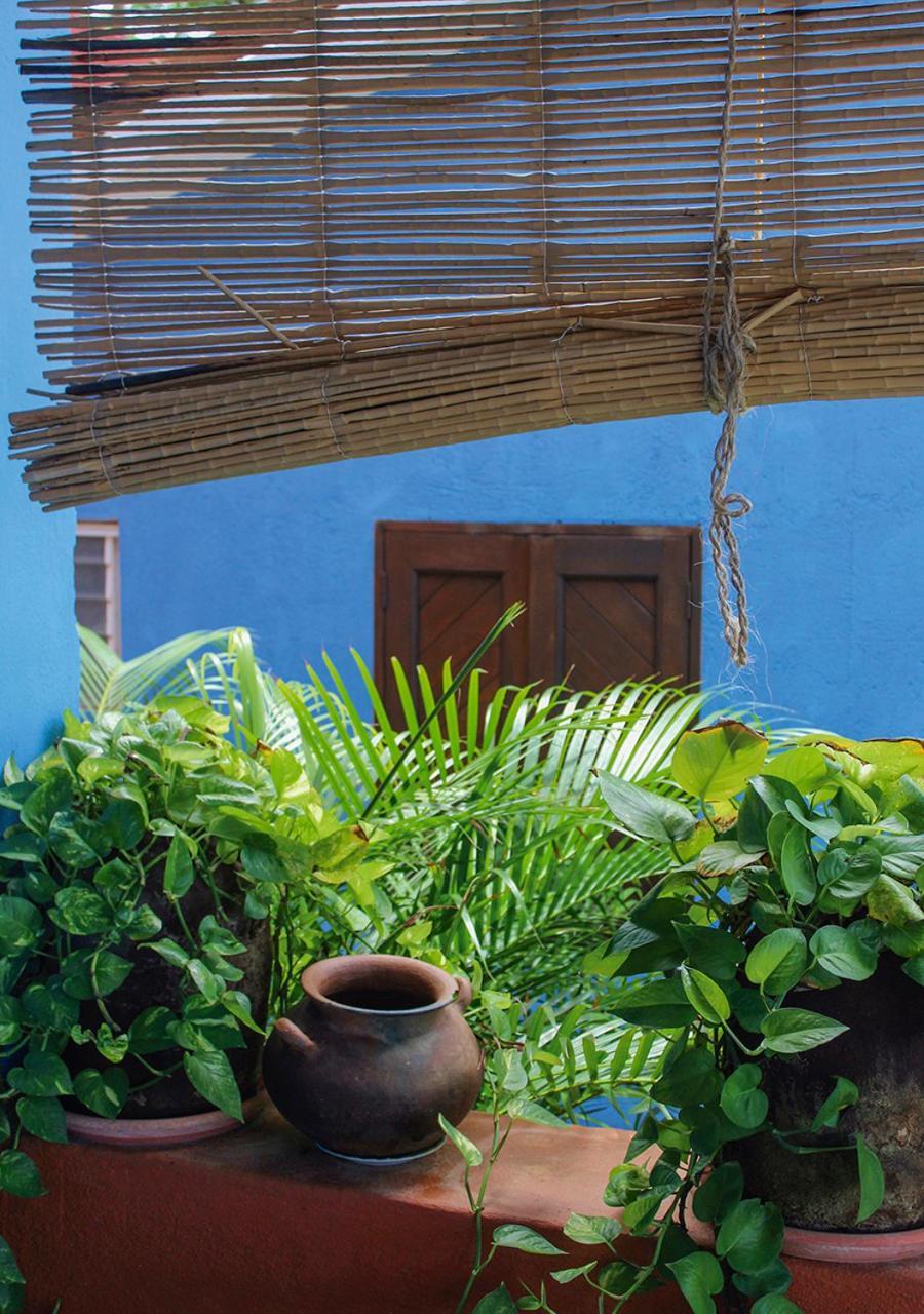Casa Azul Hotel San Agustinillo Kültér fotó